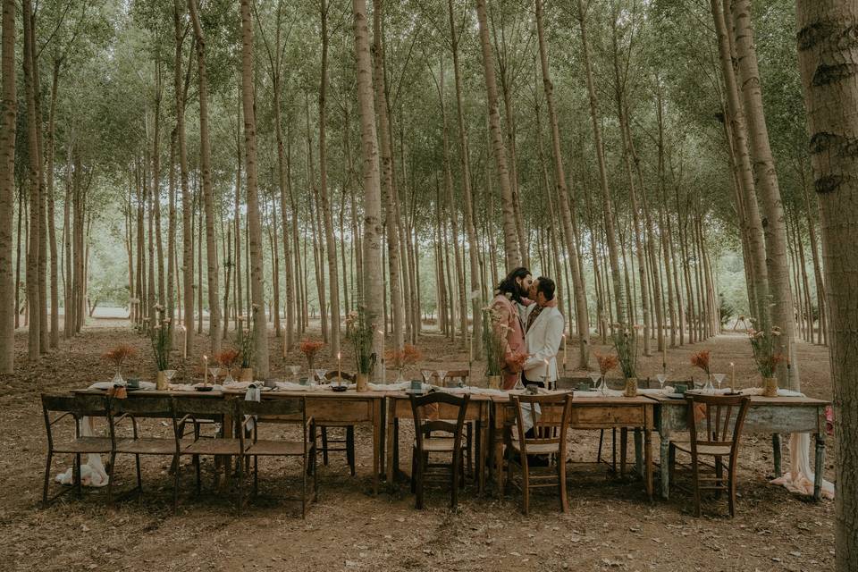 Matrimonio nel bosco