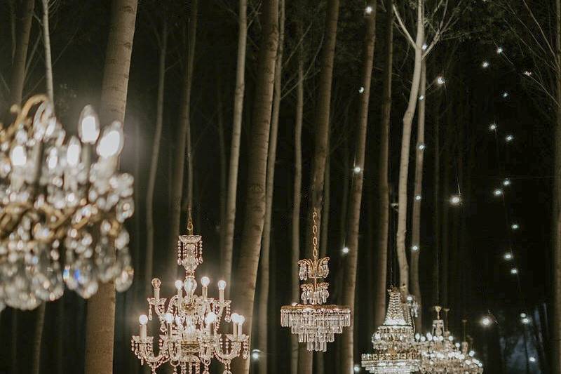 Matrimonio nel bosco