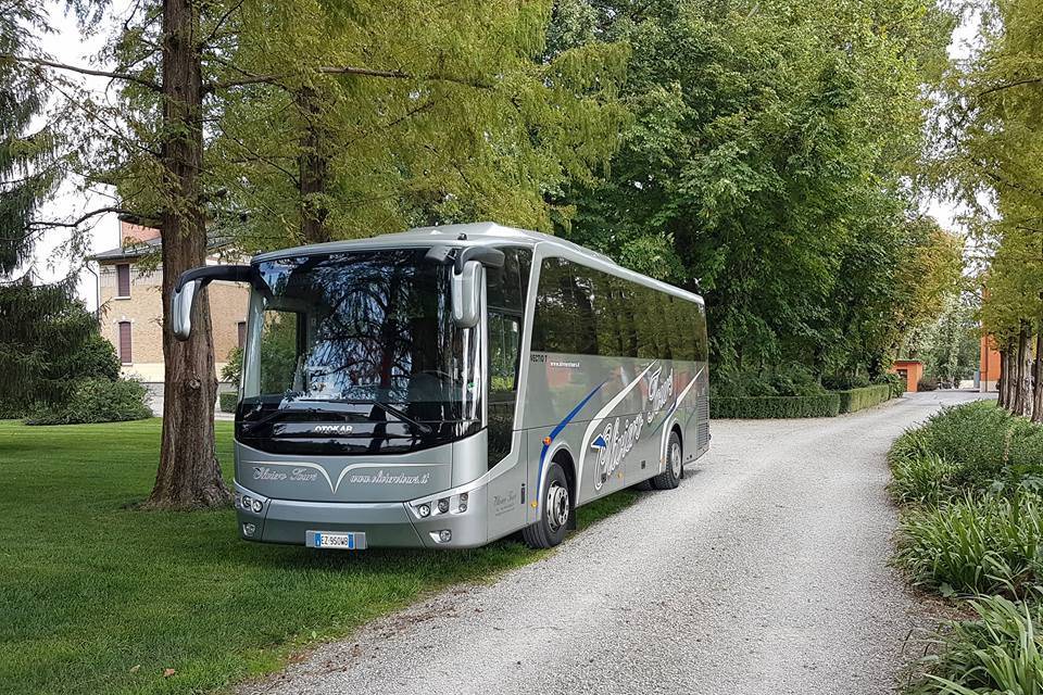 Noleggio autobus Oliviero