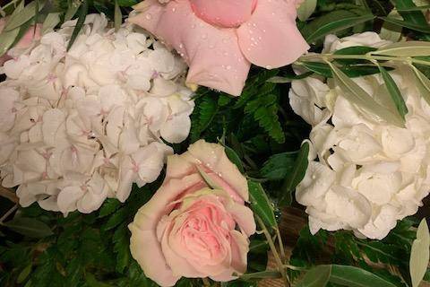 Ortensie e rose