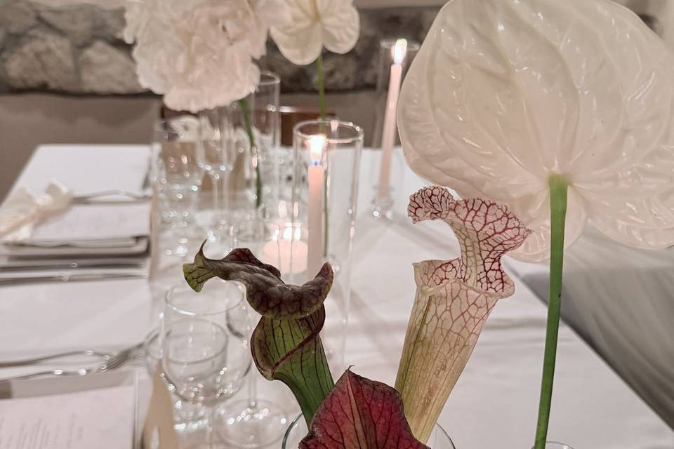 Matrimonio S&D