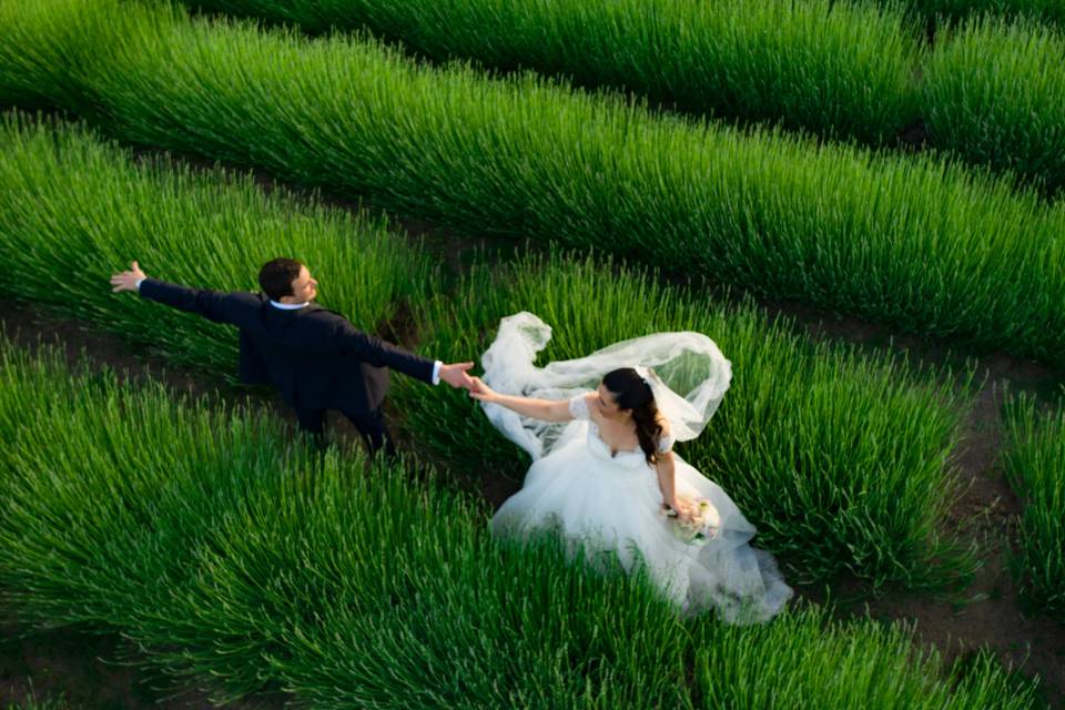 Danza al sapor di lavanda