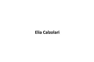 Musica da cerimonia - Elia Calzolari