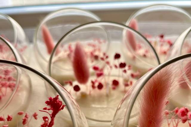 Candele botaniche