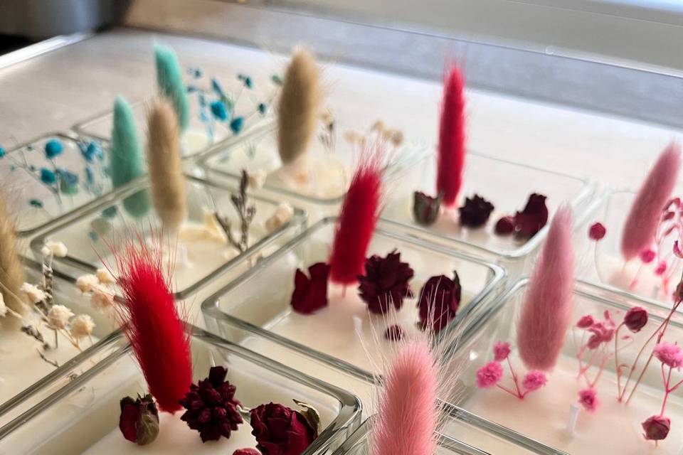 Candele botaniche
