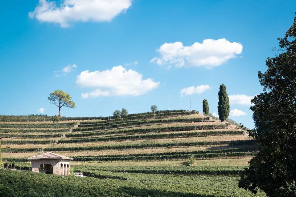 Matrimonio tra le vigne