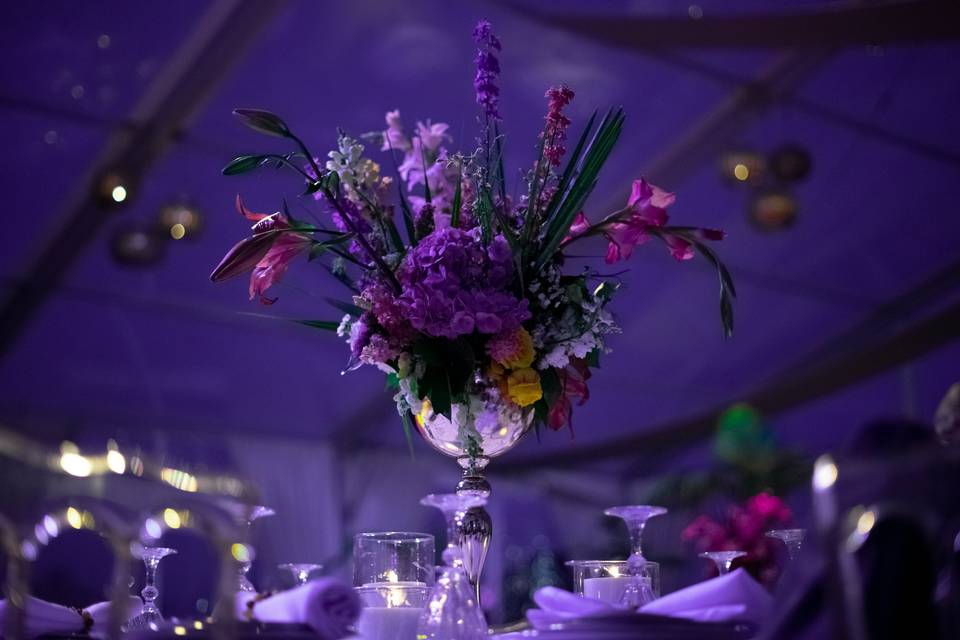 Matrimonio