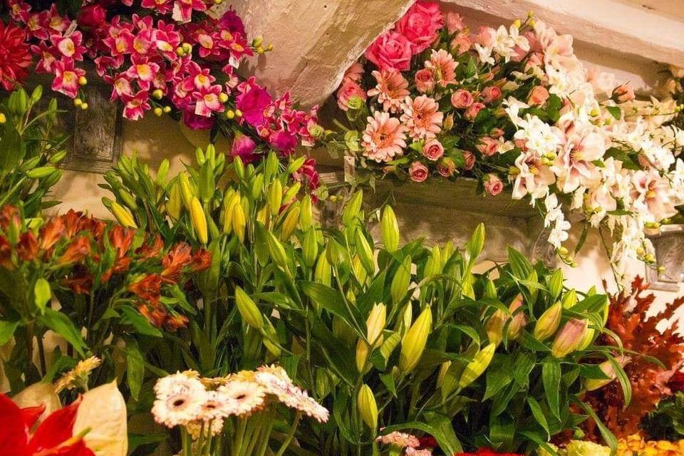 Fiori