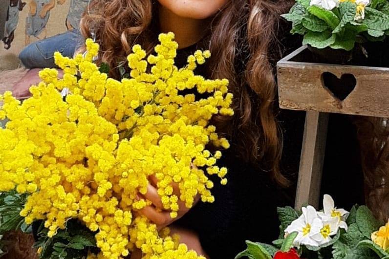 Mimosa e miss