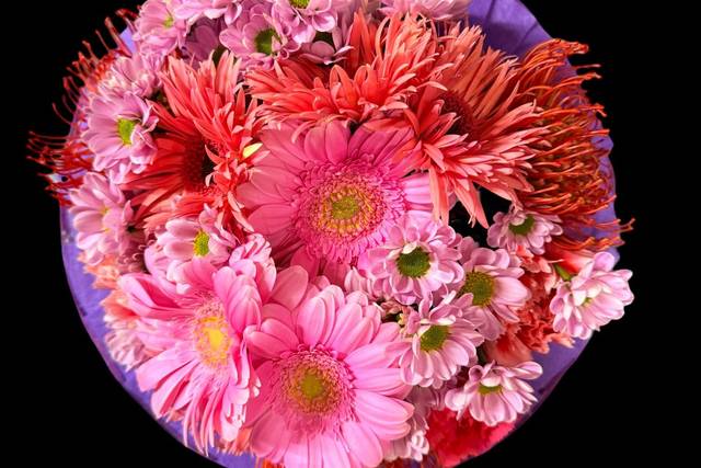 Esplosione di Rosa e Corallo