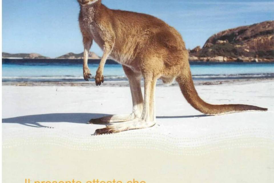 100% Australia Expert