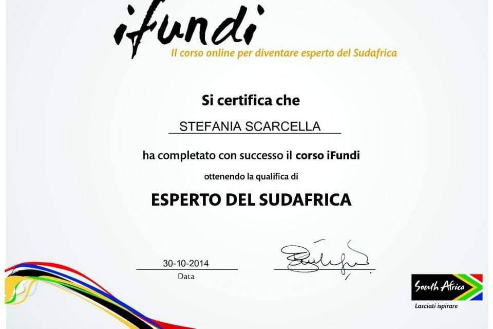 100% SudAfrica Expert