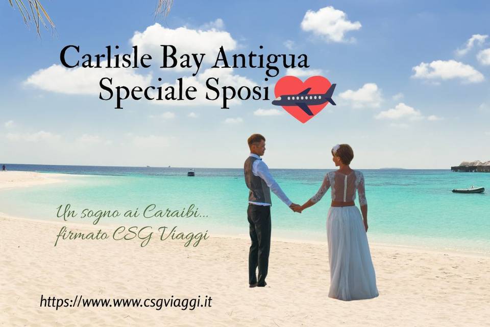 Csg Viaggi
