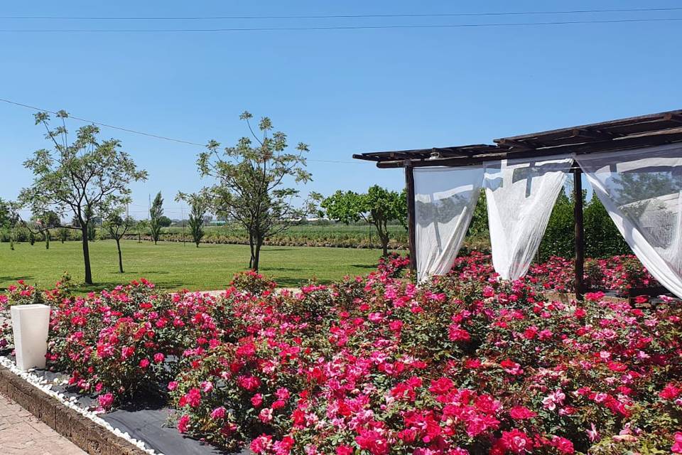 Agriturismo Terre di Paestum