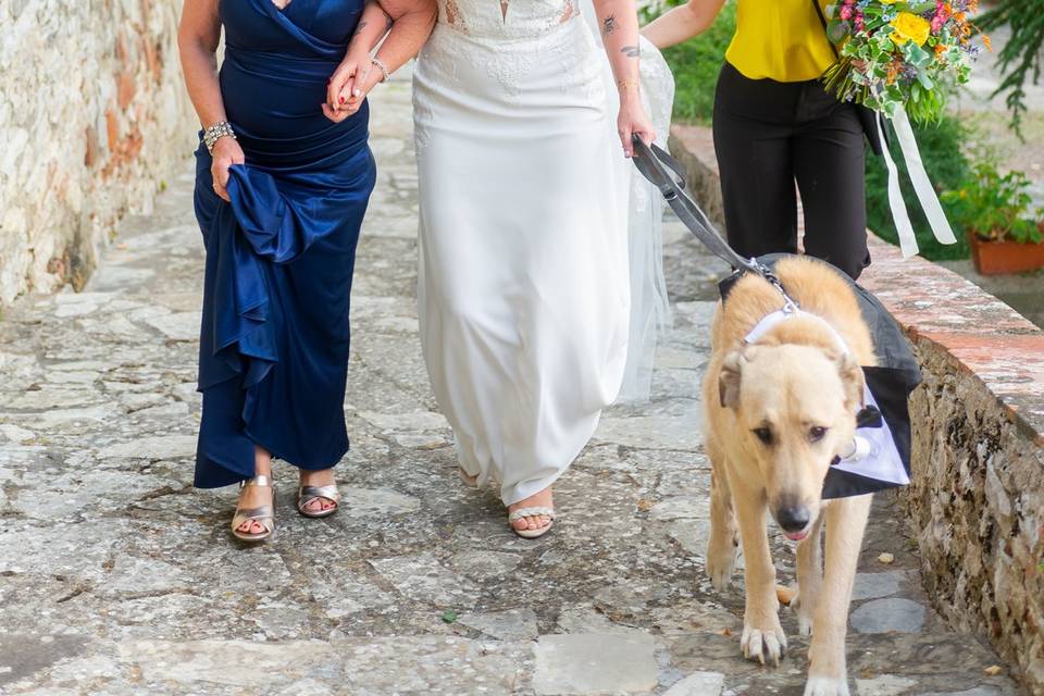 Wedding con sposa