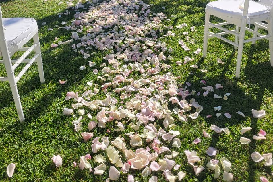 Arco di fiori su viale di peta