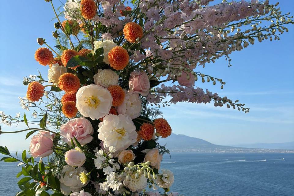 Dettagli su peonie e dalie