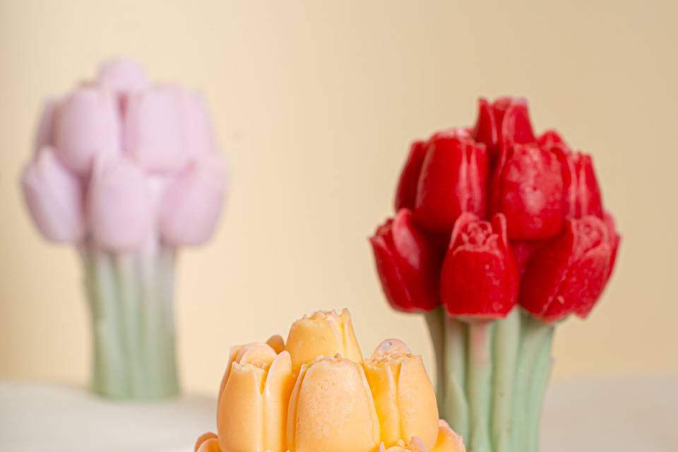 Tulipani