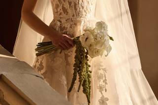 Emozioni Sposa