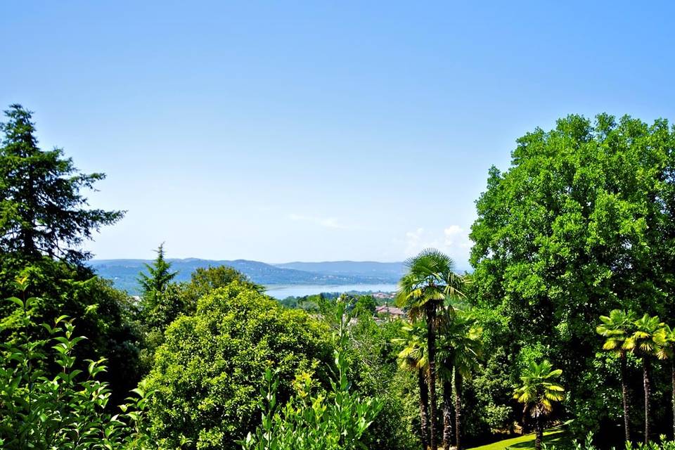 Il parco secolare e vista lago