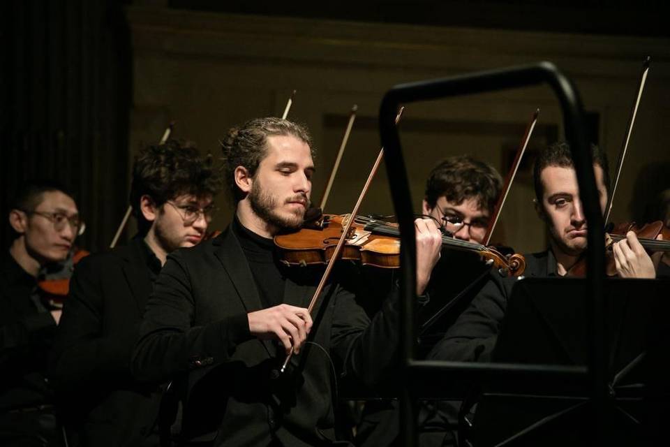 Violino: Fabio