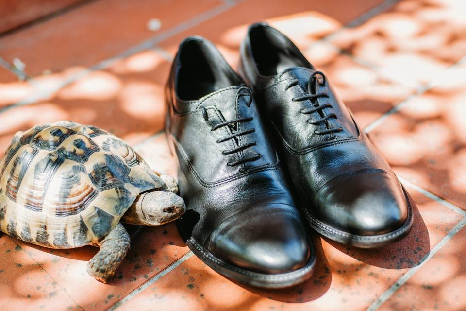 Groom's Shoes