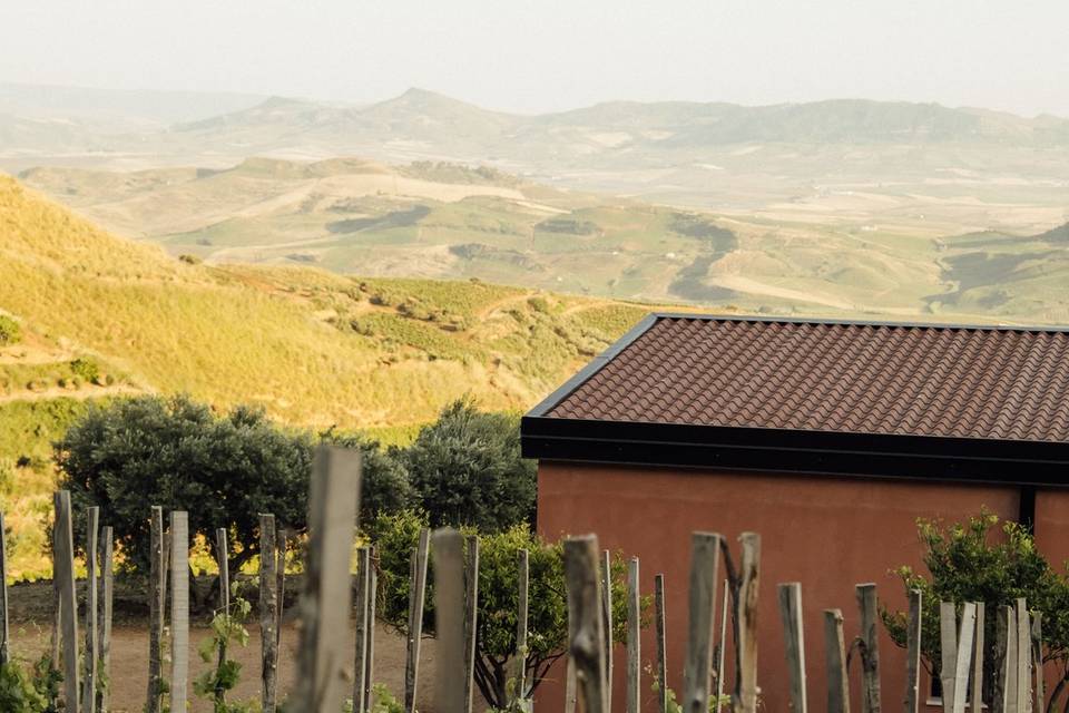 Colori unici