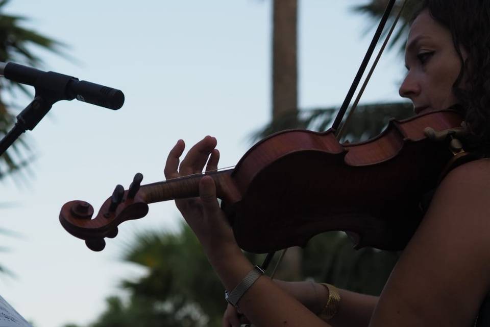 Rosanna Angileri Violinista