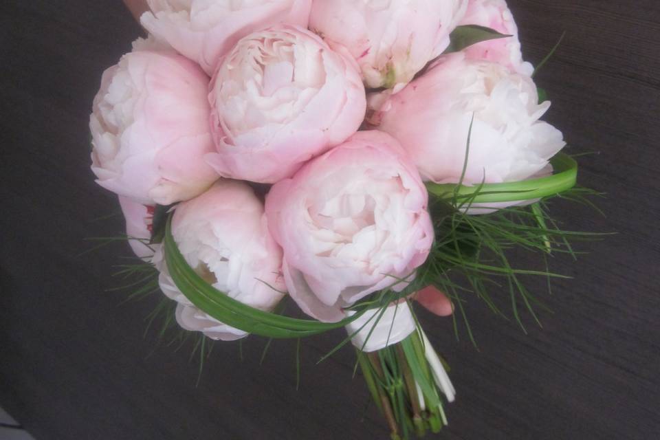 Peonie