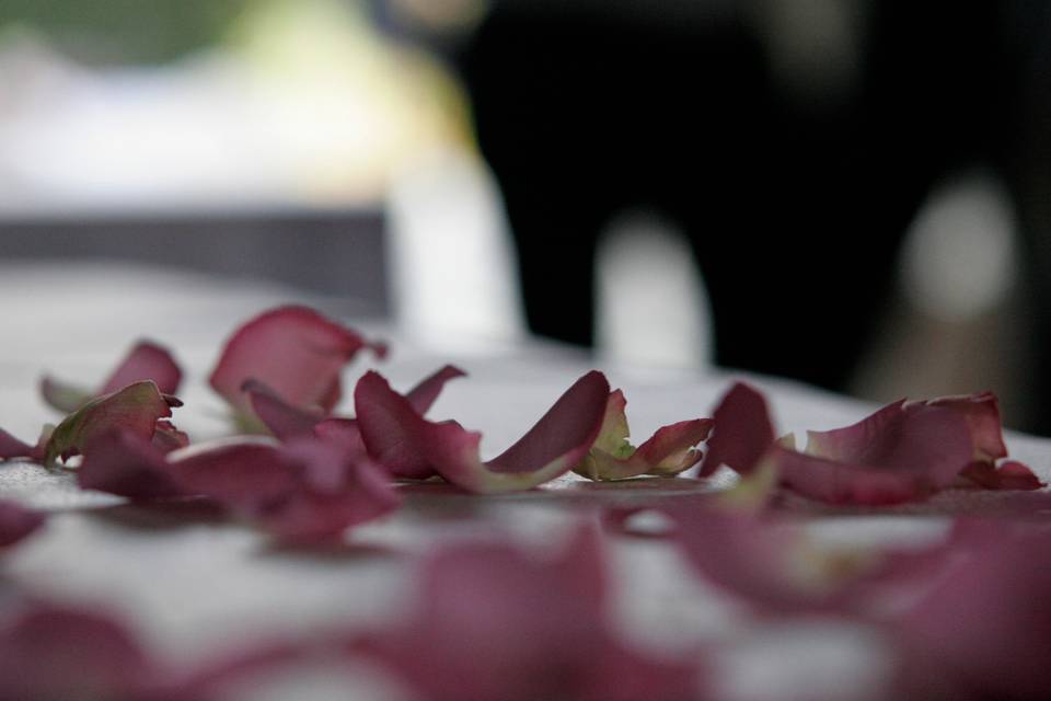 Romanticissimo Weddings & Events