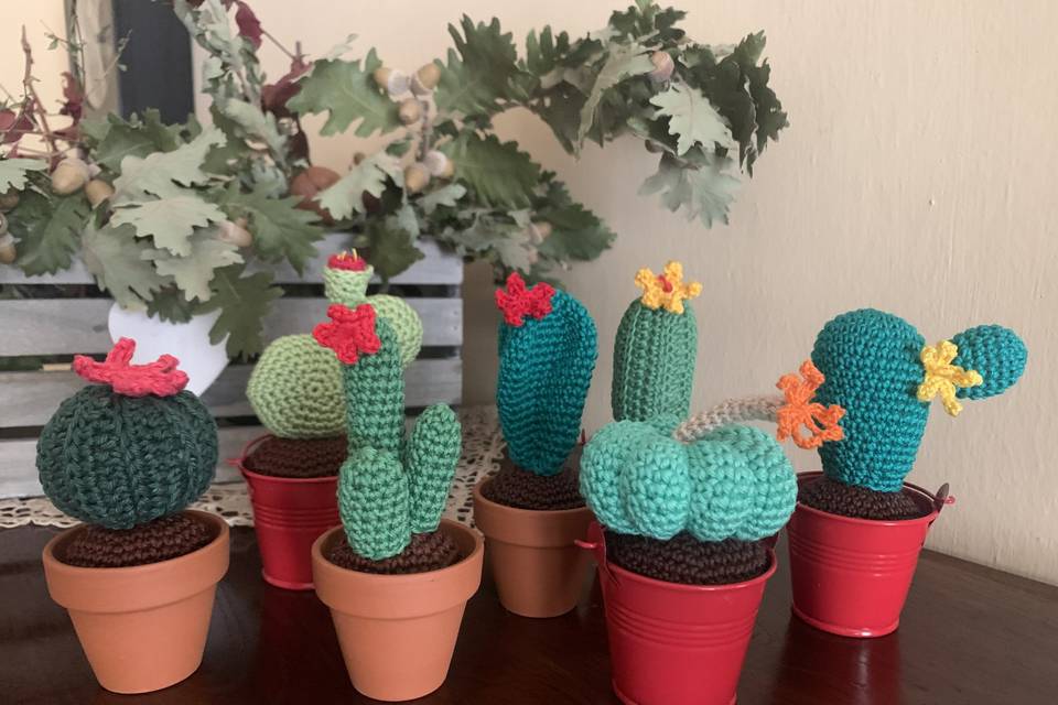 Cactus