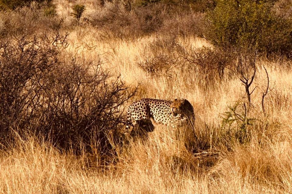 Namibia - Da Federica & Matteo