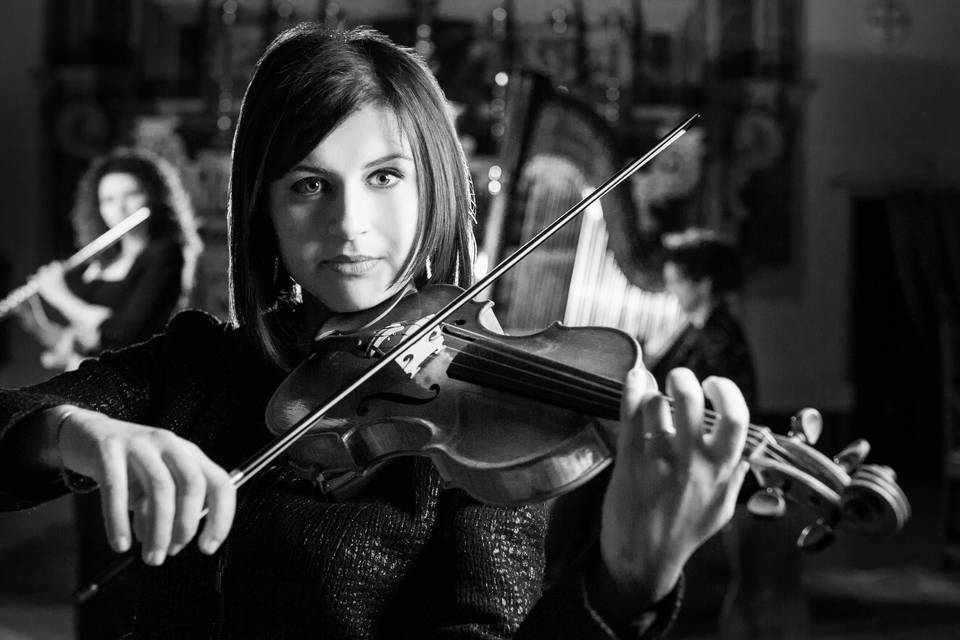 Angela pisicchio - violinista