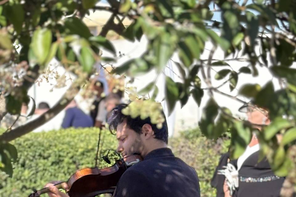 Duo Federico