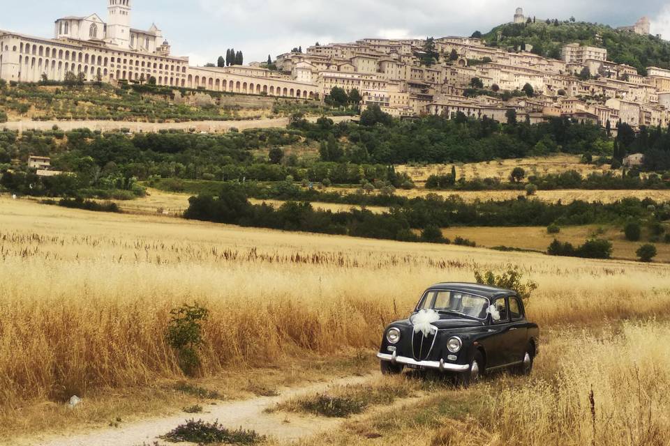 Lancia APPIA ad Assisi