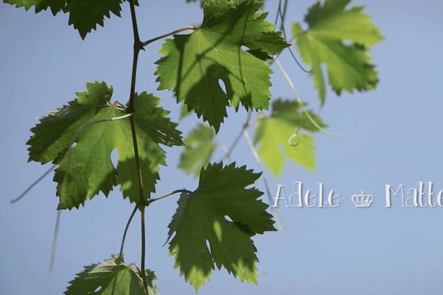 Adele+Matteo