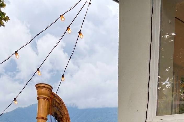 Arpa e violino🪉🎻