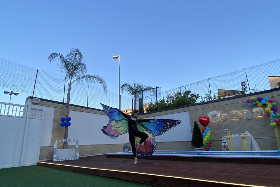 Farfalla colorata