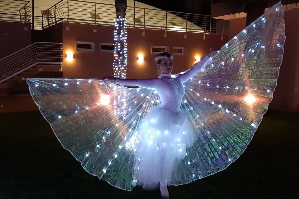 Fairy led show