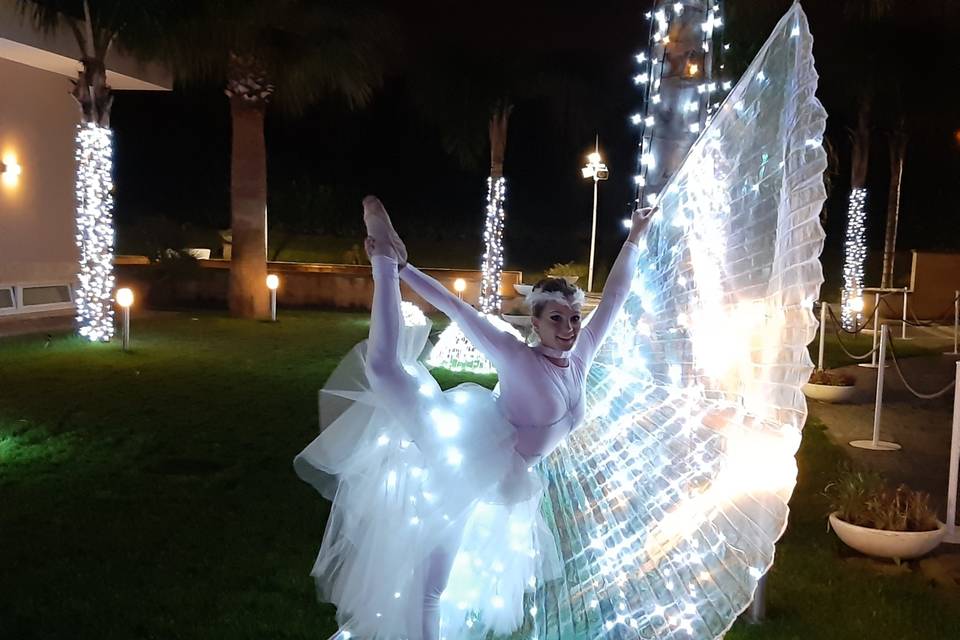 Fairy led show