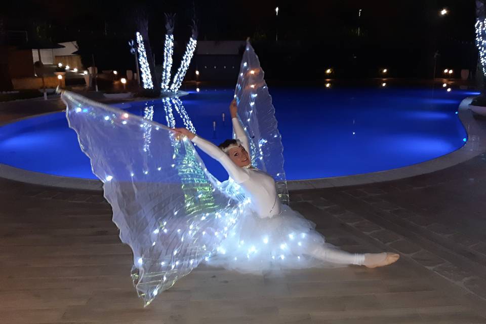 Fairy led show