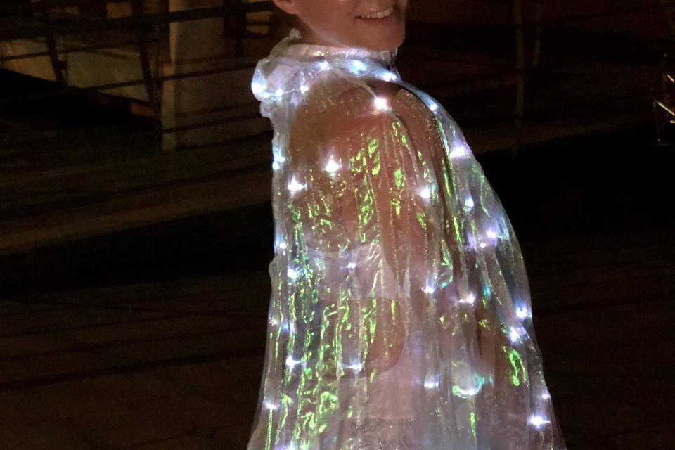 Fairy show