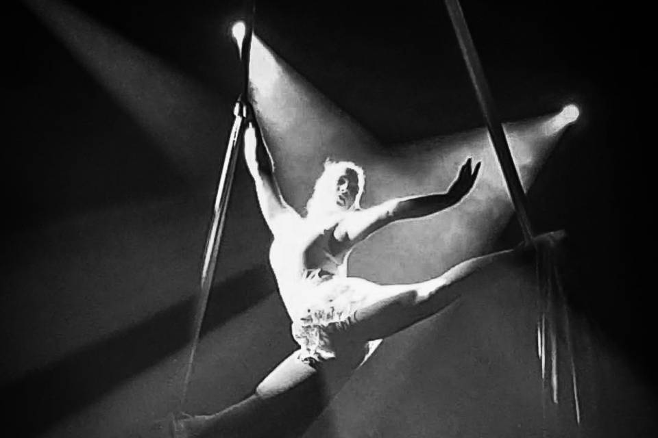 Aerial dance performance