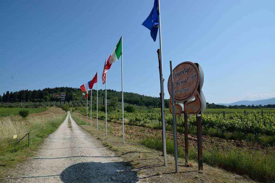 La strada del Frassine