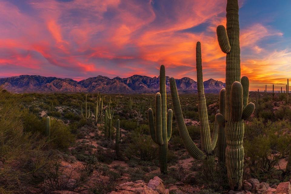 Arizona - USA