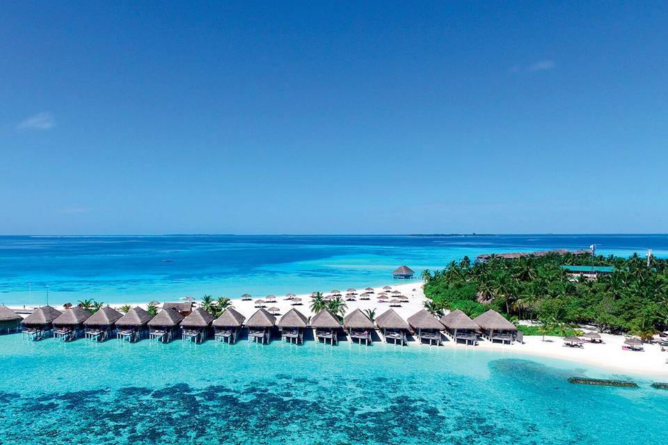 Maldive