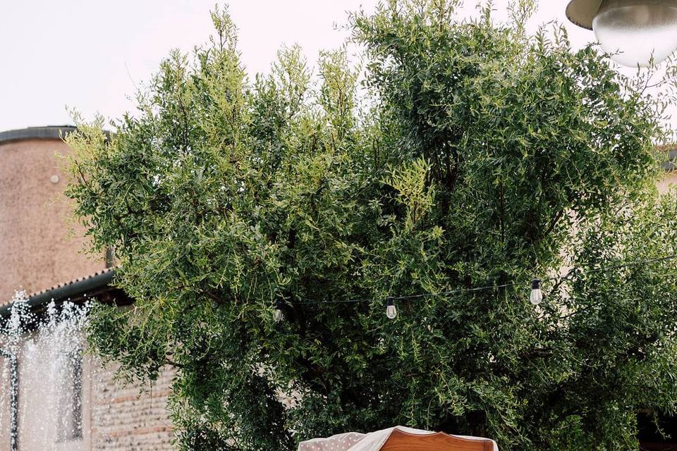 Casa Rossa Morgano