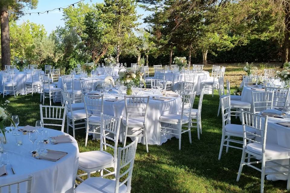 Taglio torta in giardino