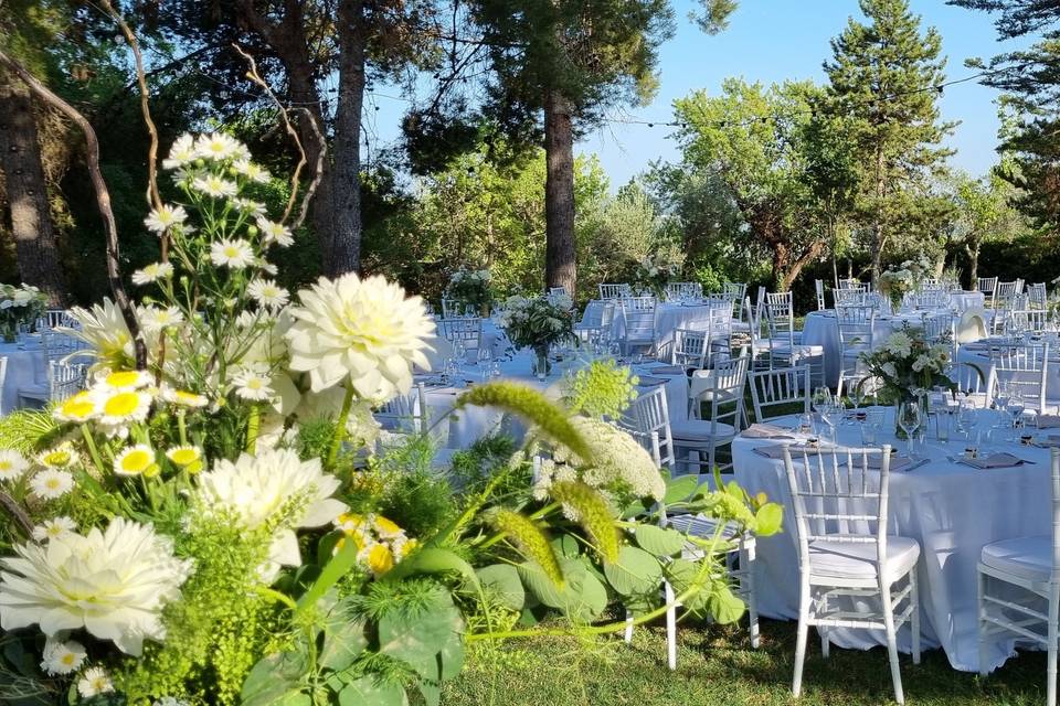 Mise en place nel bosco