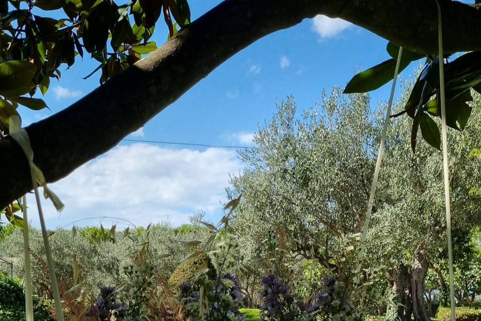 Taglio torta in giardino